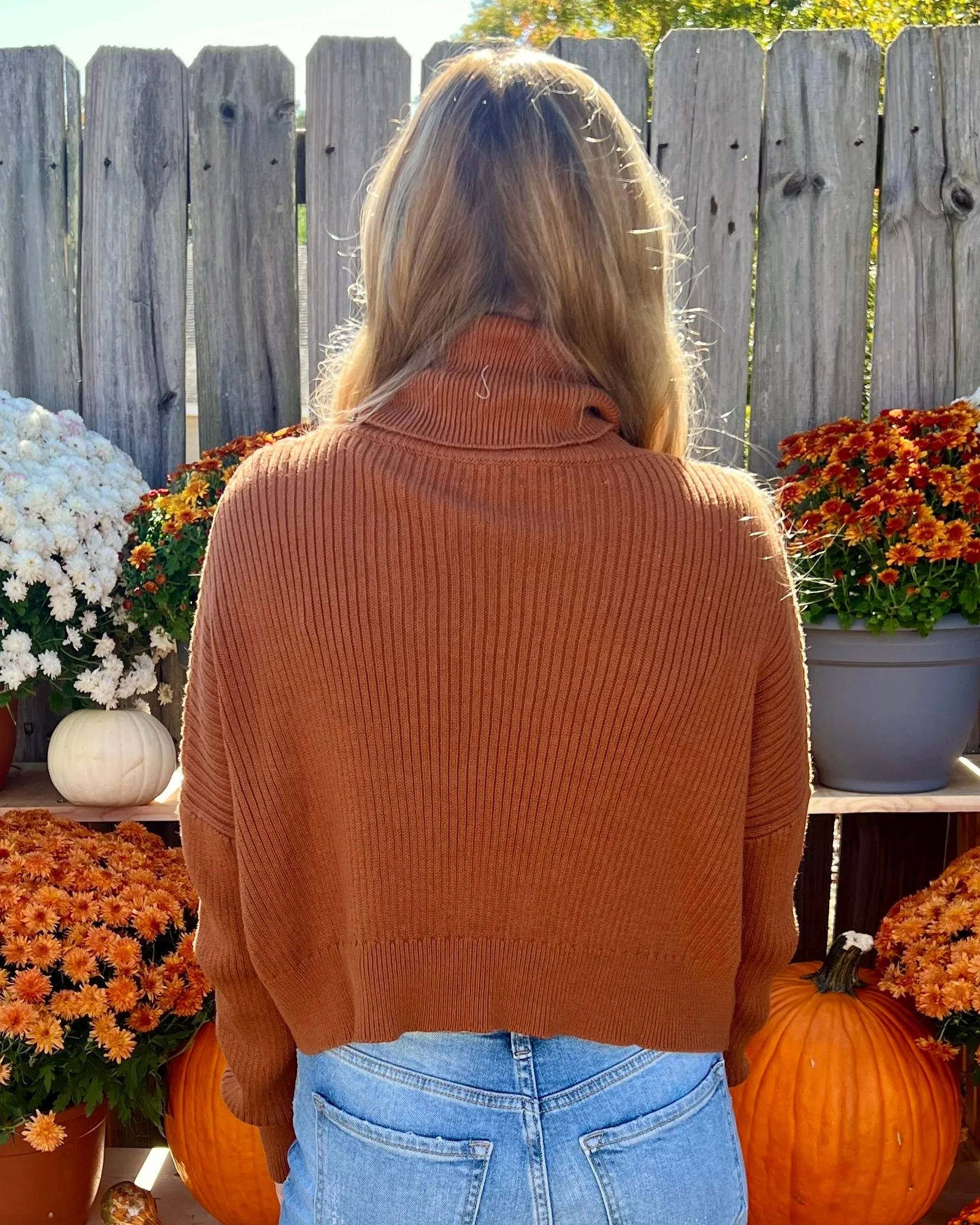 Chilly Weather Camel Turtleneck Crop Sweater