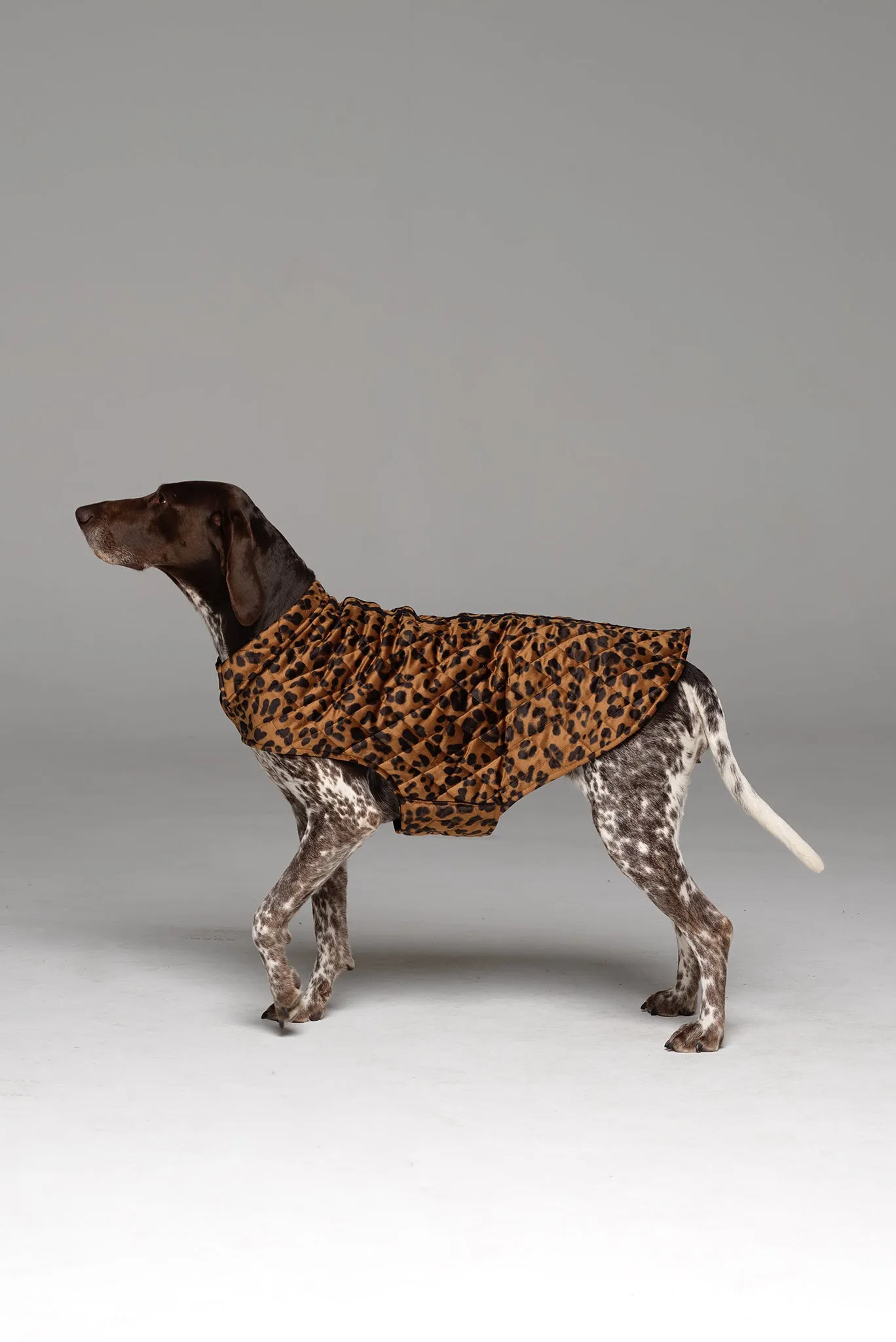 Furbaby Dog Coat