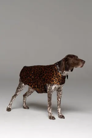 Furbaby Dog Coat