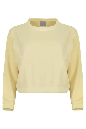 Ivy Boxy Cropped Modal Pullover - Sunny