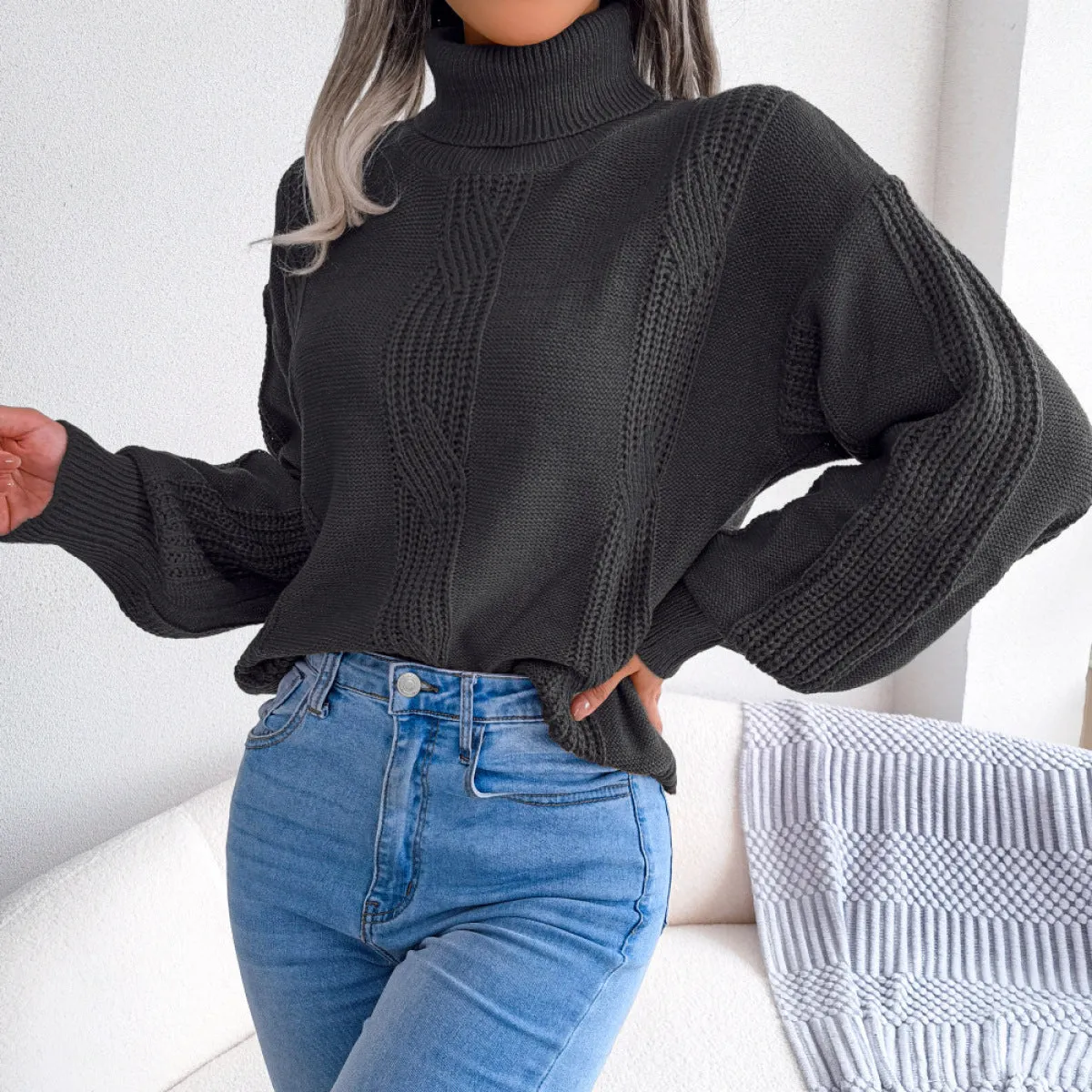 Solid Turtleneck Lantern Sleeve Cable Knit Sweater