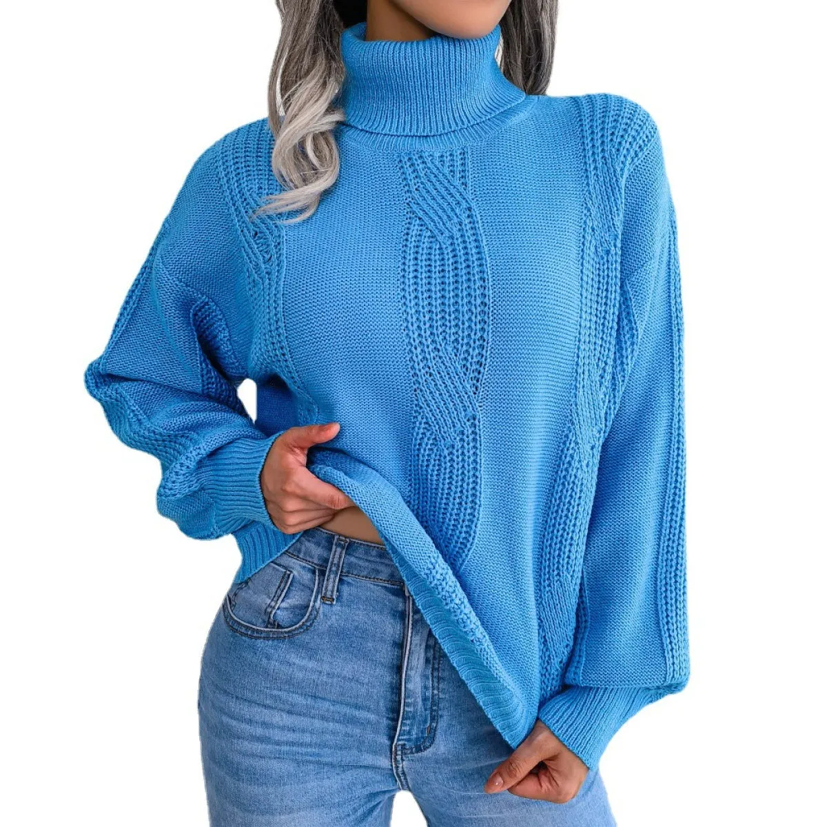 Solid Turtleneck Lantern Sleeve Cable Knit Sweater